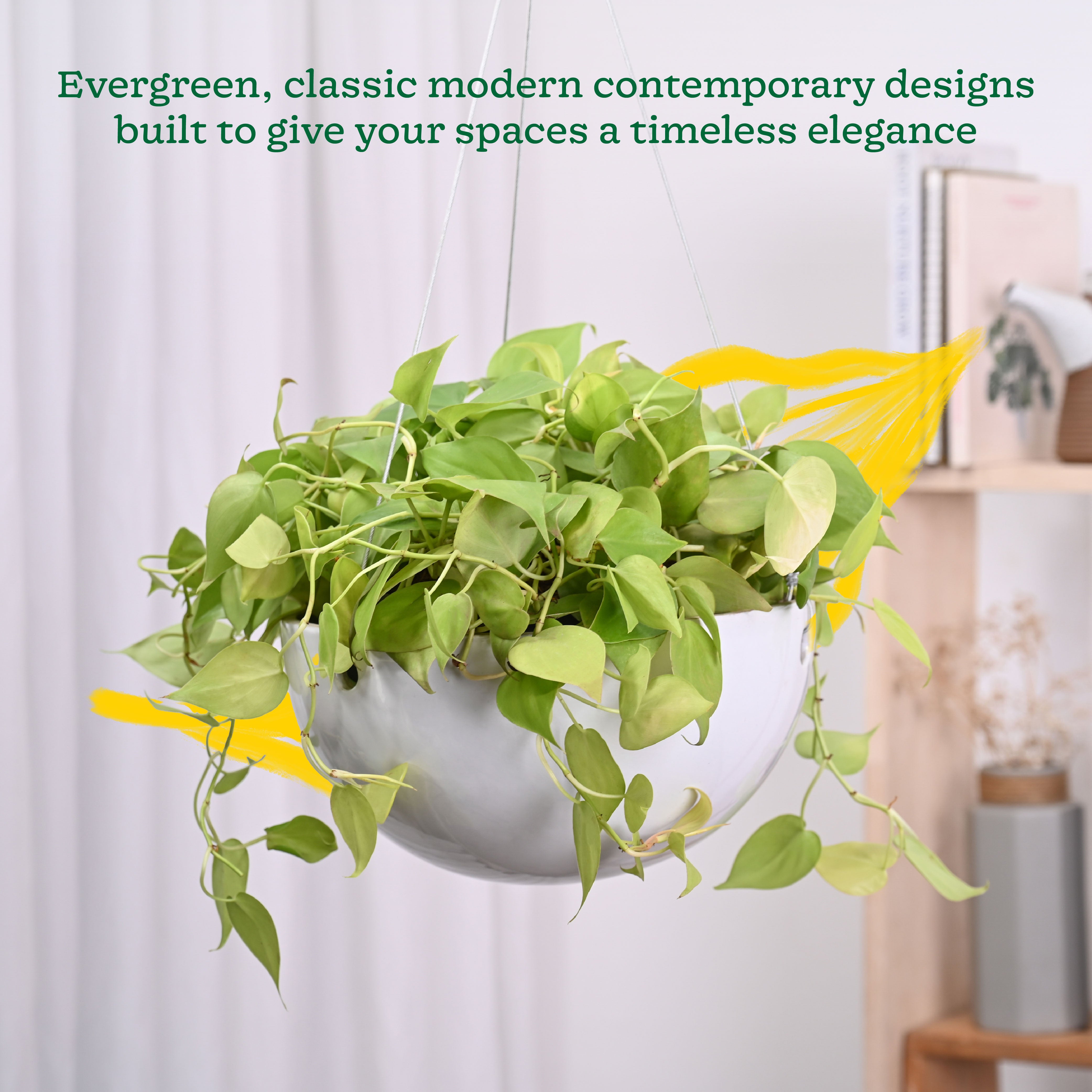 Hanging Ceramic Planters Petrichor Smite
