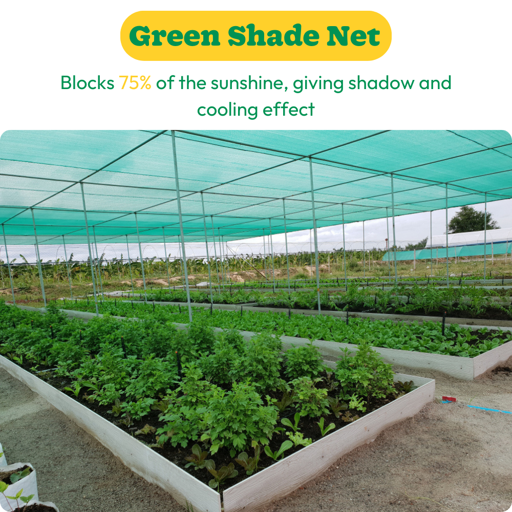 Shade Net