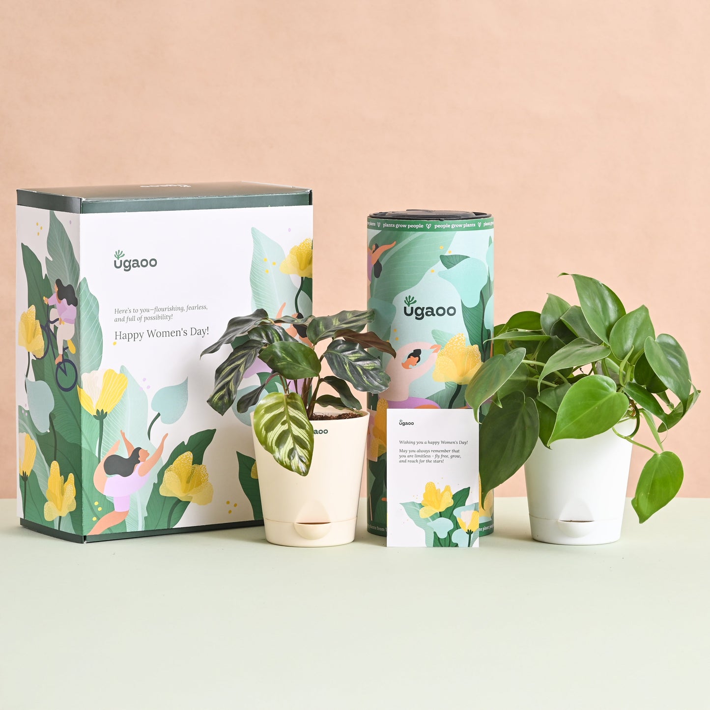 Queen's Canopy Plant Bundle for Women's Day