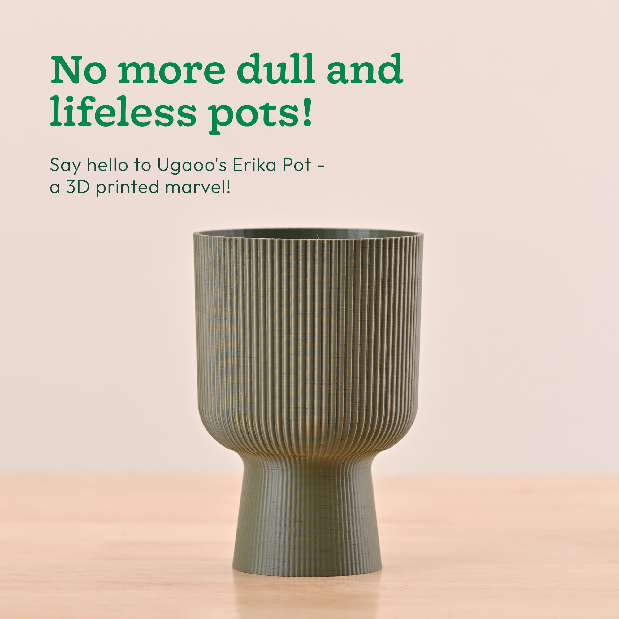 Erika Planter