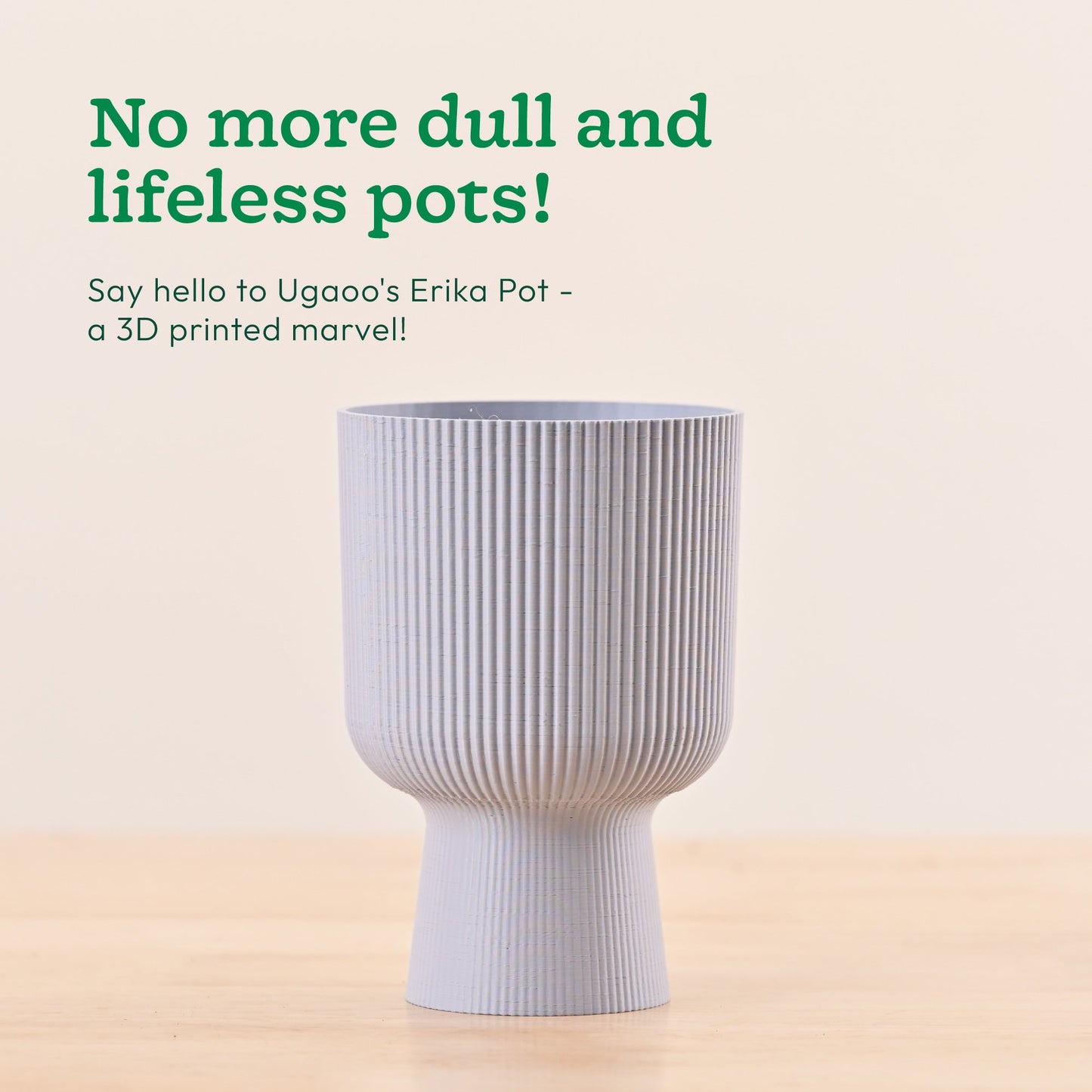Erika Planter
