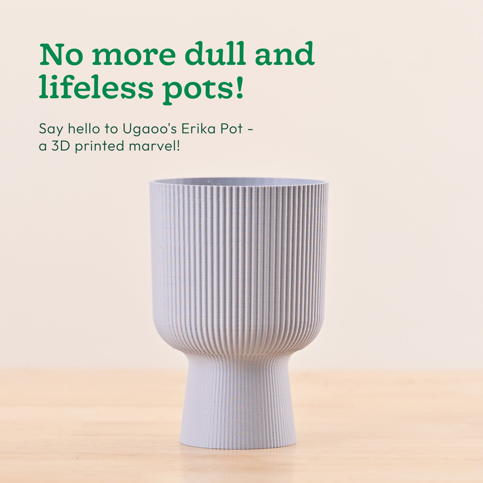 Erika Planter