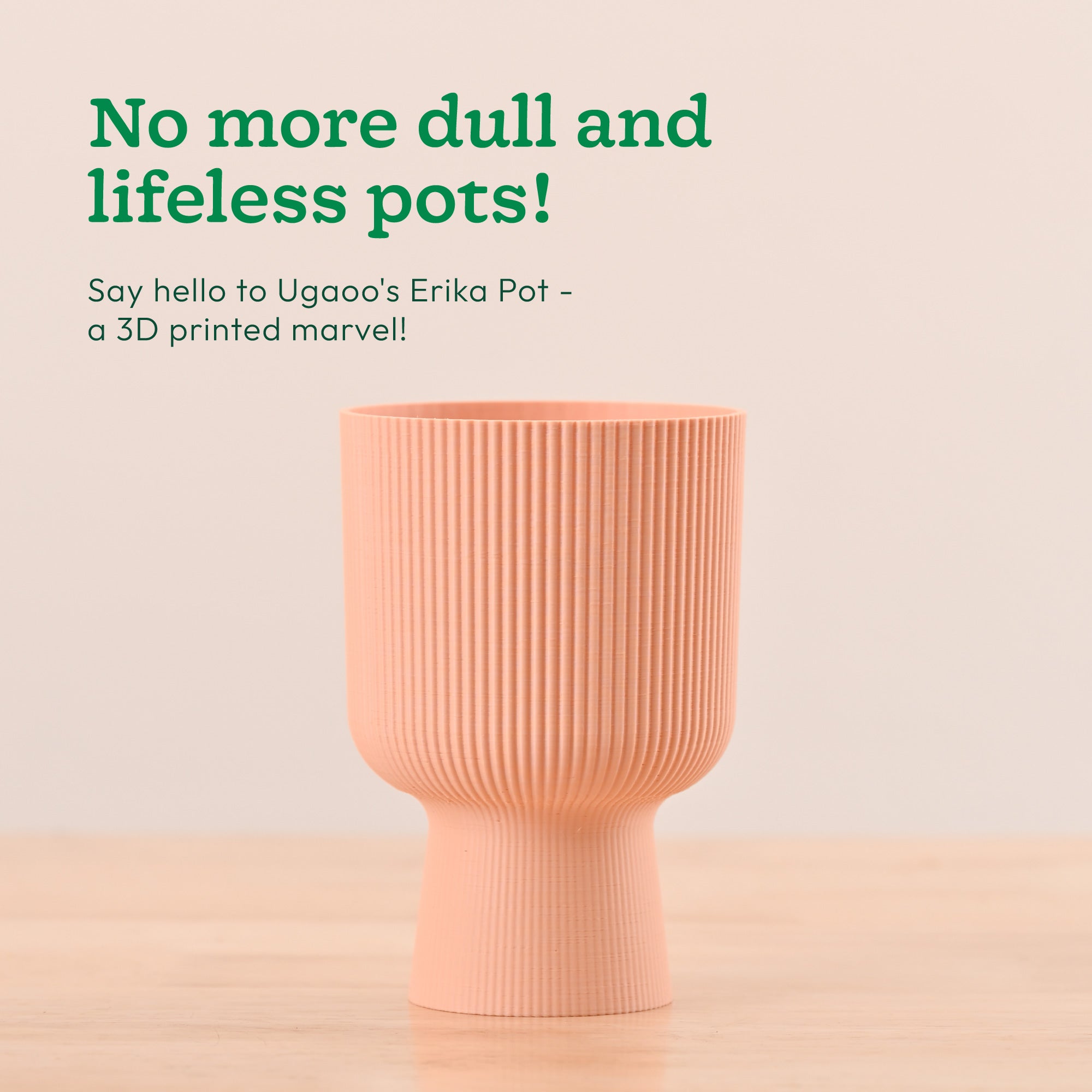 Erika Planter