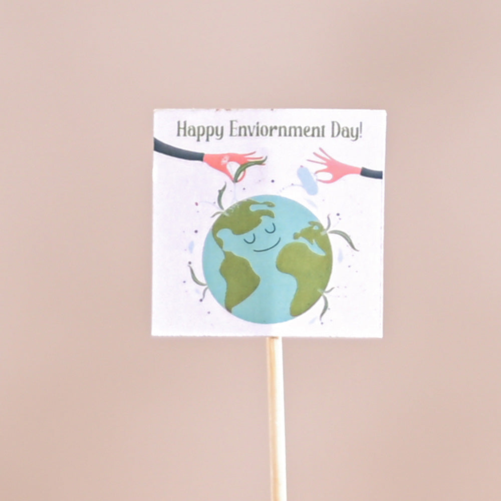 Peperomia Green Plant For Environment Day Gifting