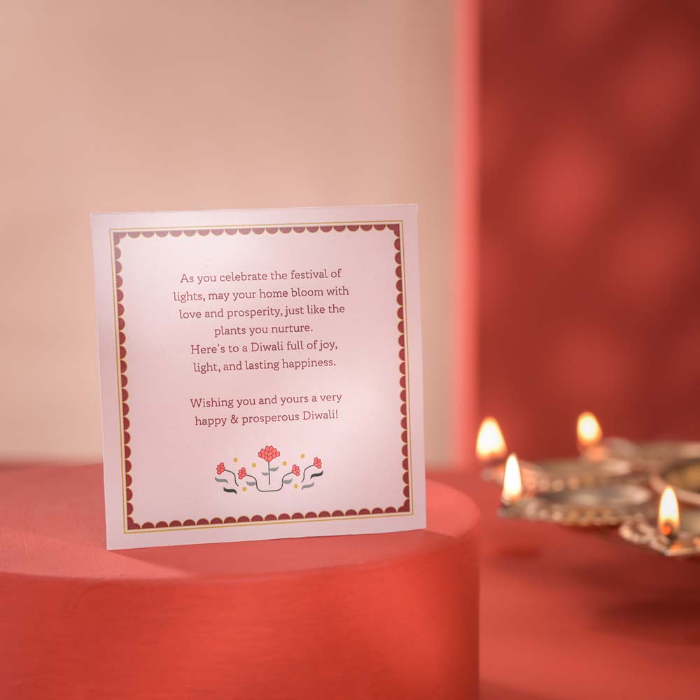 Good Vibes Diwali Gift Hamper