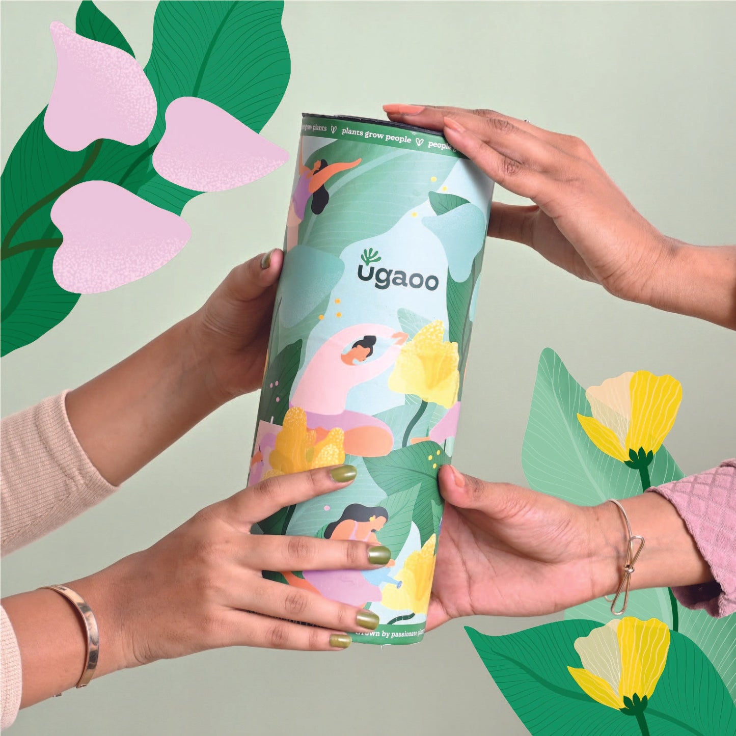 Queen's Canopy Plant Bundle for Women's Day