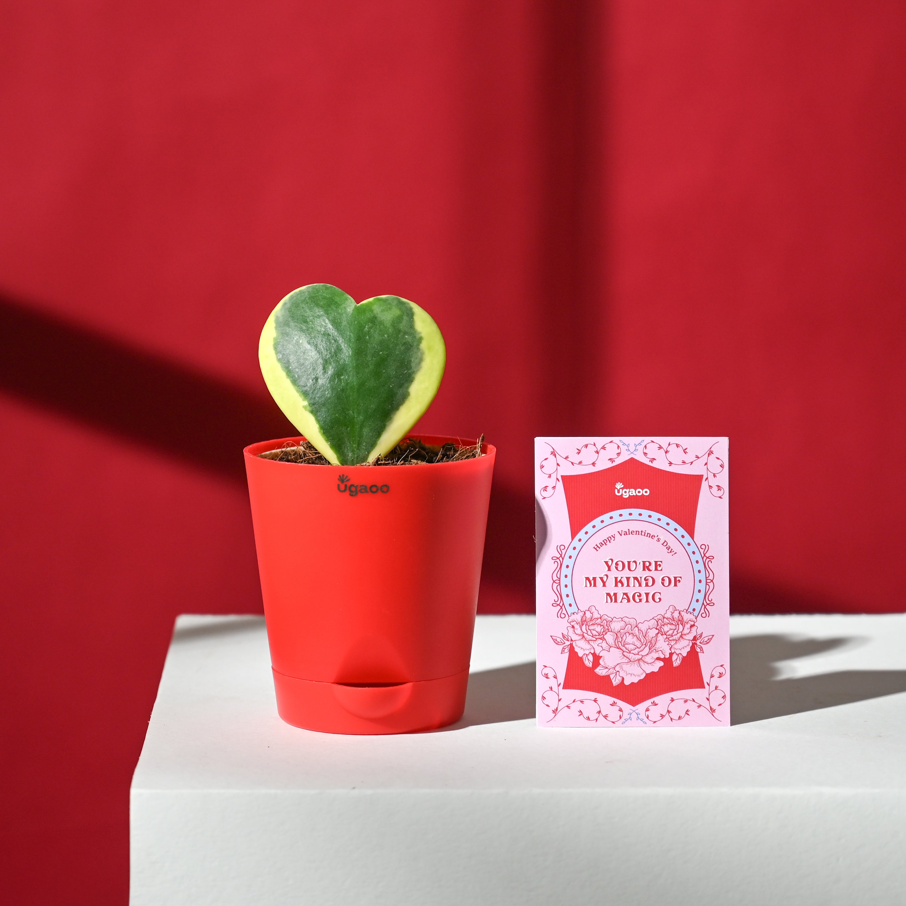 Pure Hearts Hamper