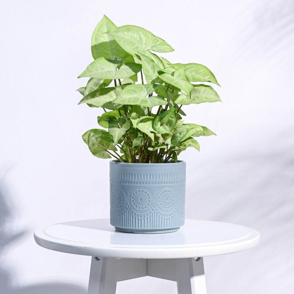 Henna Ceramic Pot