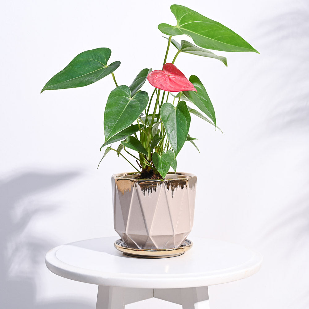 Aurelius Prism Ceramic Pot