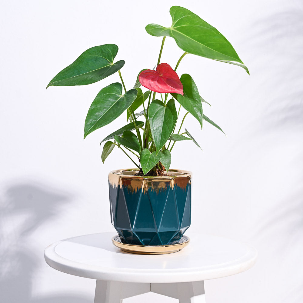 Aurelius Prism Ceramic Pot