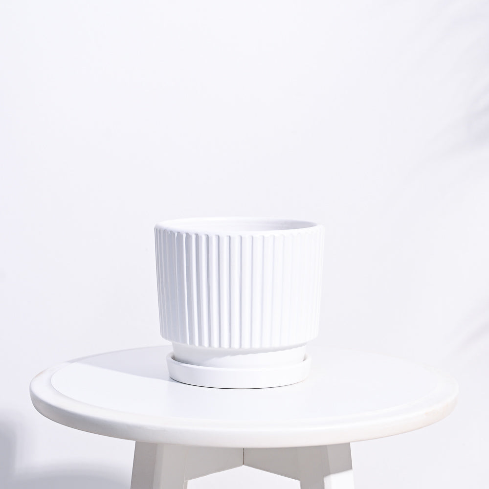 Roma Ceramic Pot