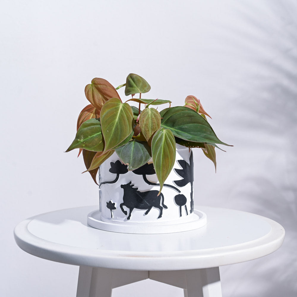 Pichwai Cement Pot
