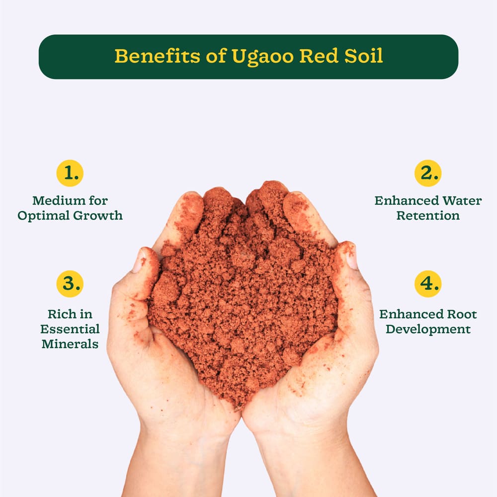 Garden Red Soil