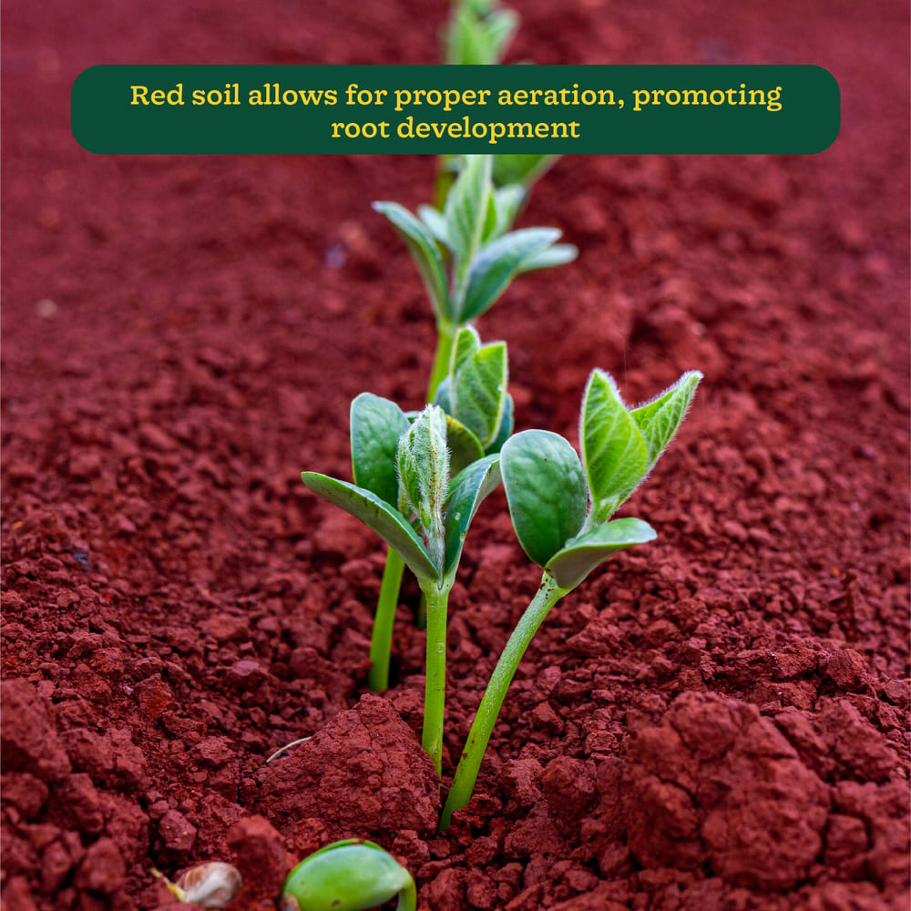 Garden Red Soil