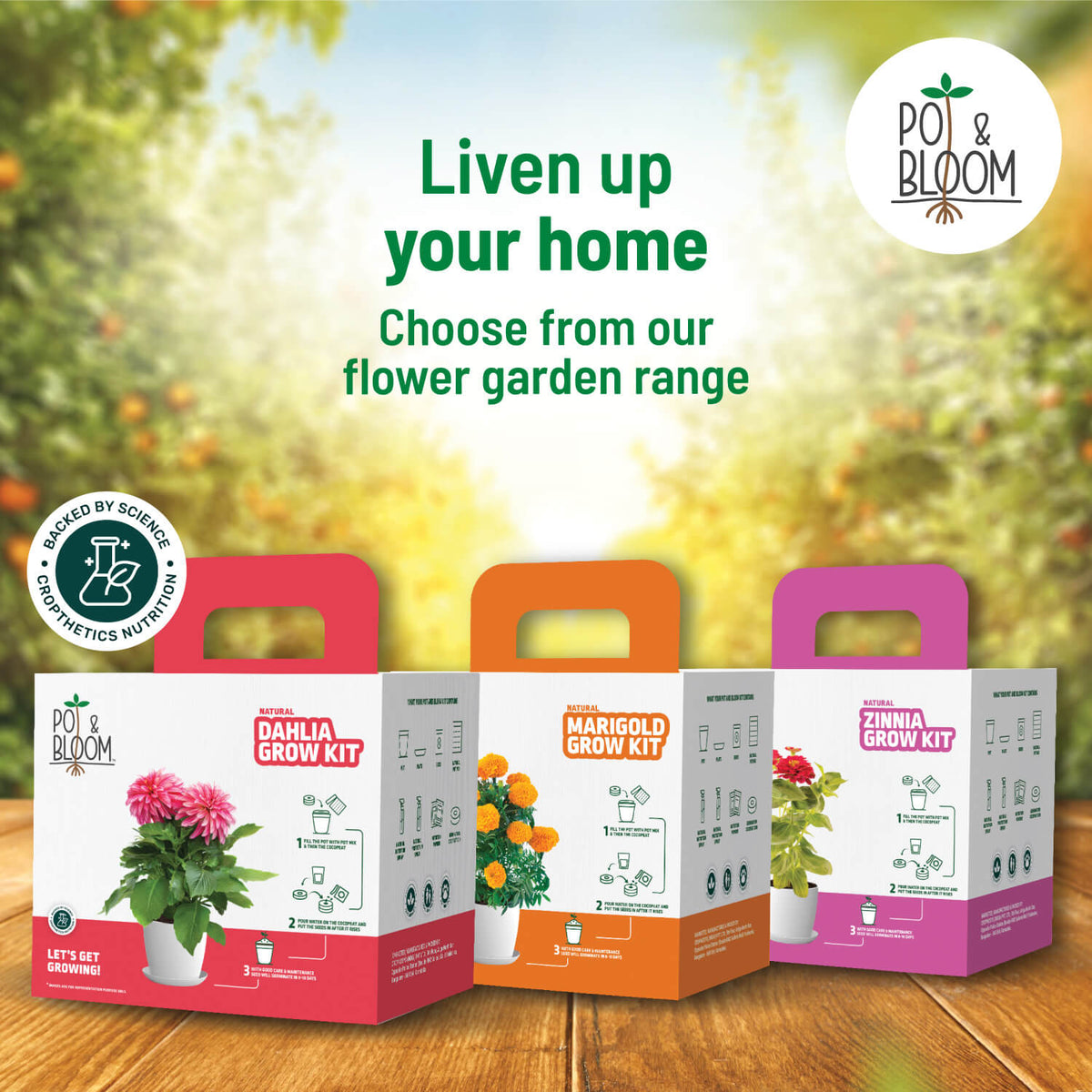 Capsicum Grow Kit