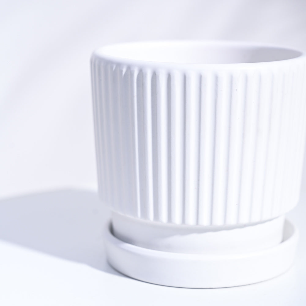 Roma Ceramic Pot