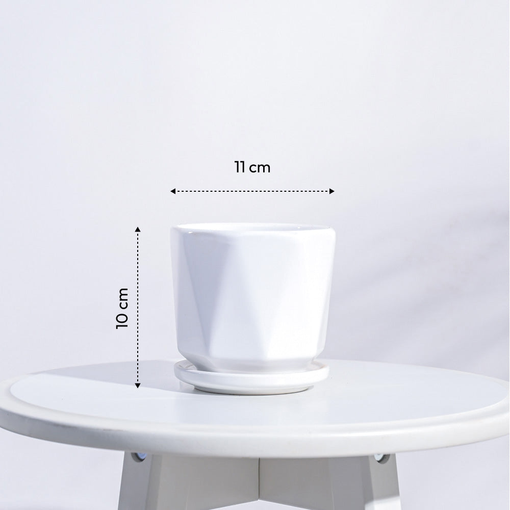 Diamond Ceramic Pot
