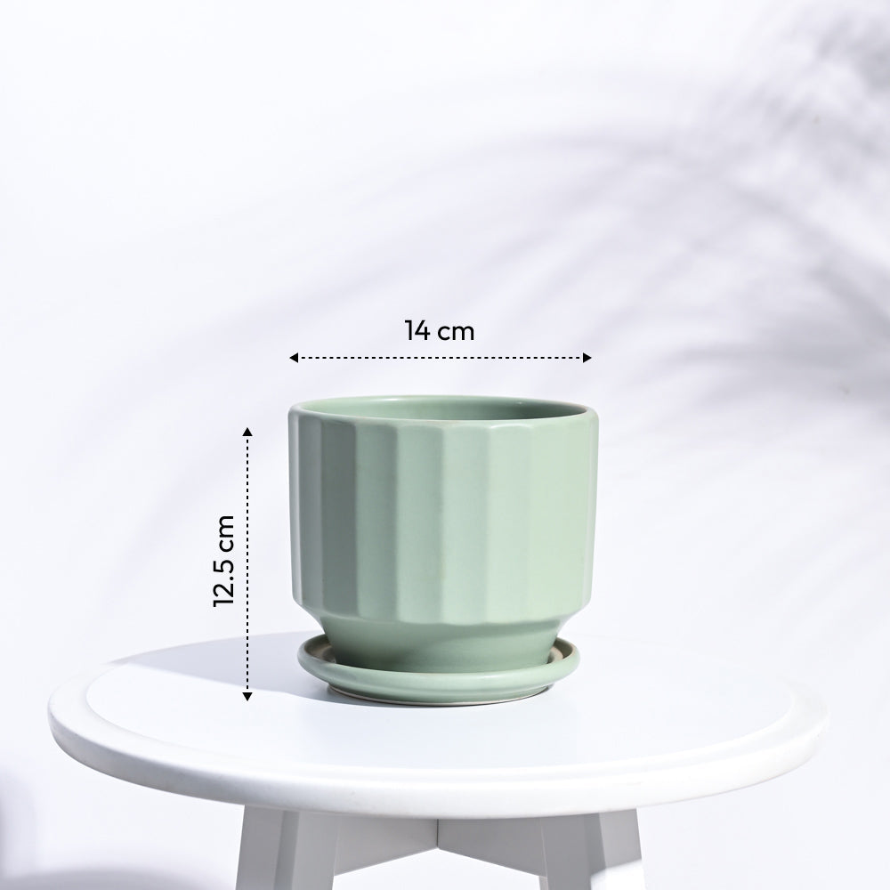Frosted Ceramic Pot