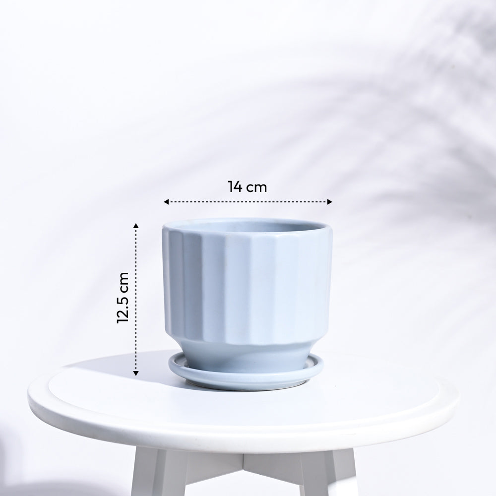 Frosted Ceramic Pot