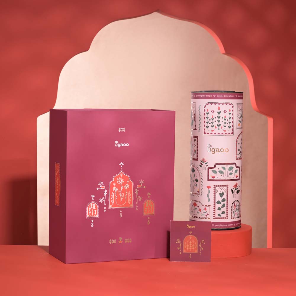 Prosperity Diwali Gift Hamper
