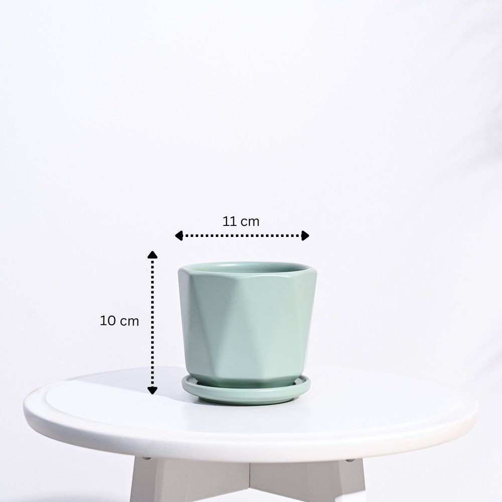 Diamond Ceramic Pot