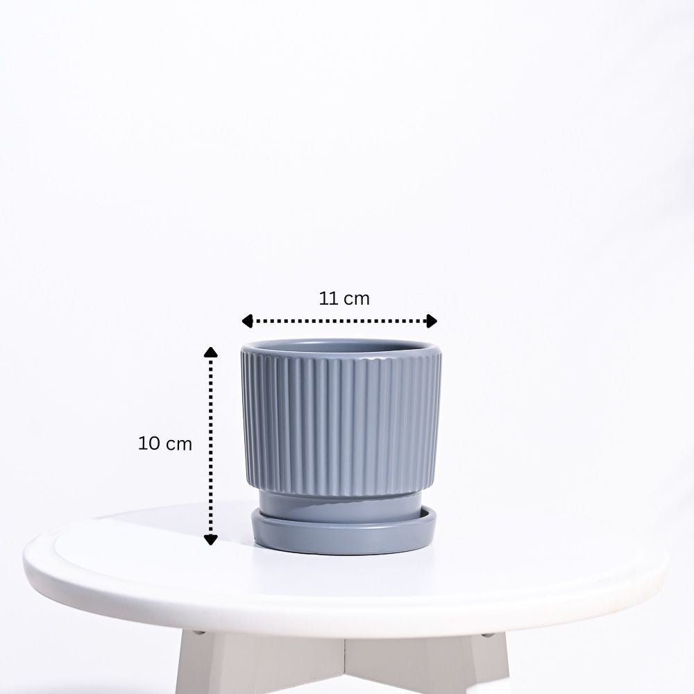 Roma Ceramic Pot