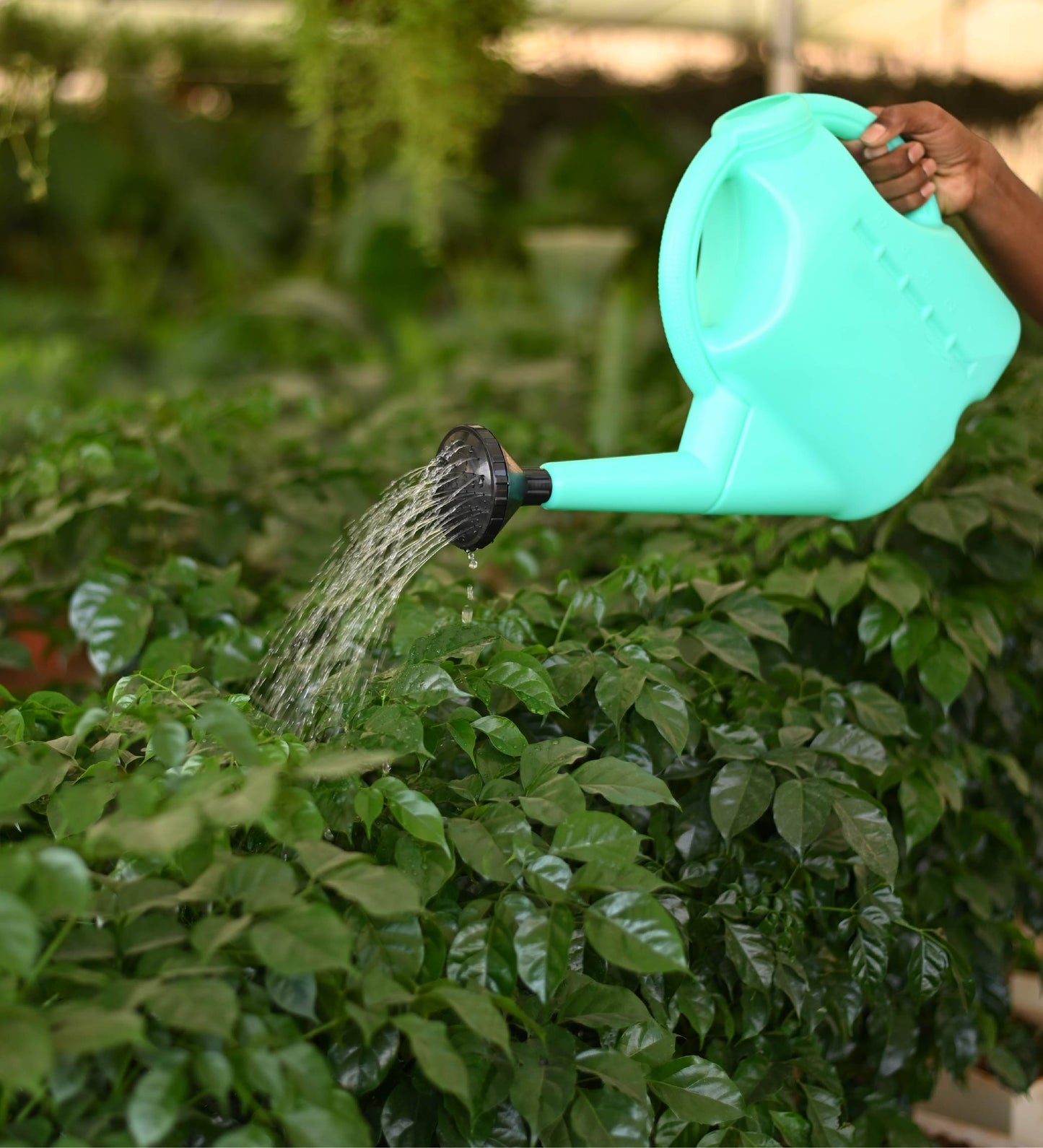 Gardeners Watering Can 5 Litre