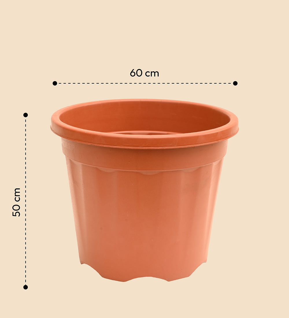 Gardening Pots - Terracotta Color