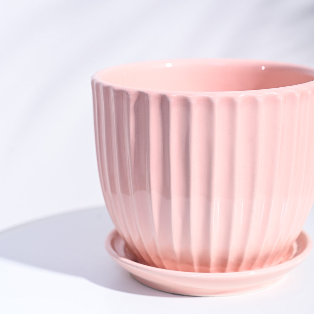 Grail Ceramic Pot