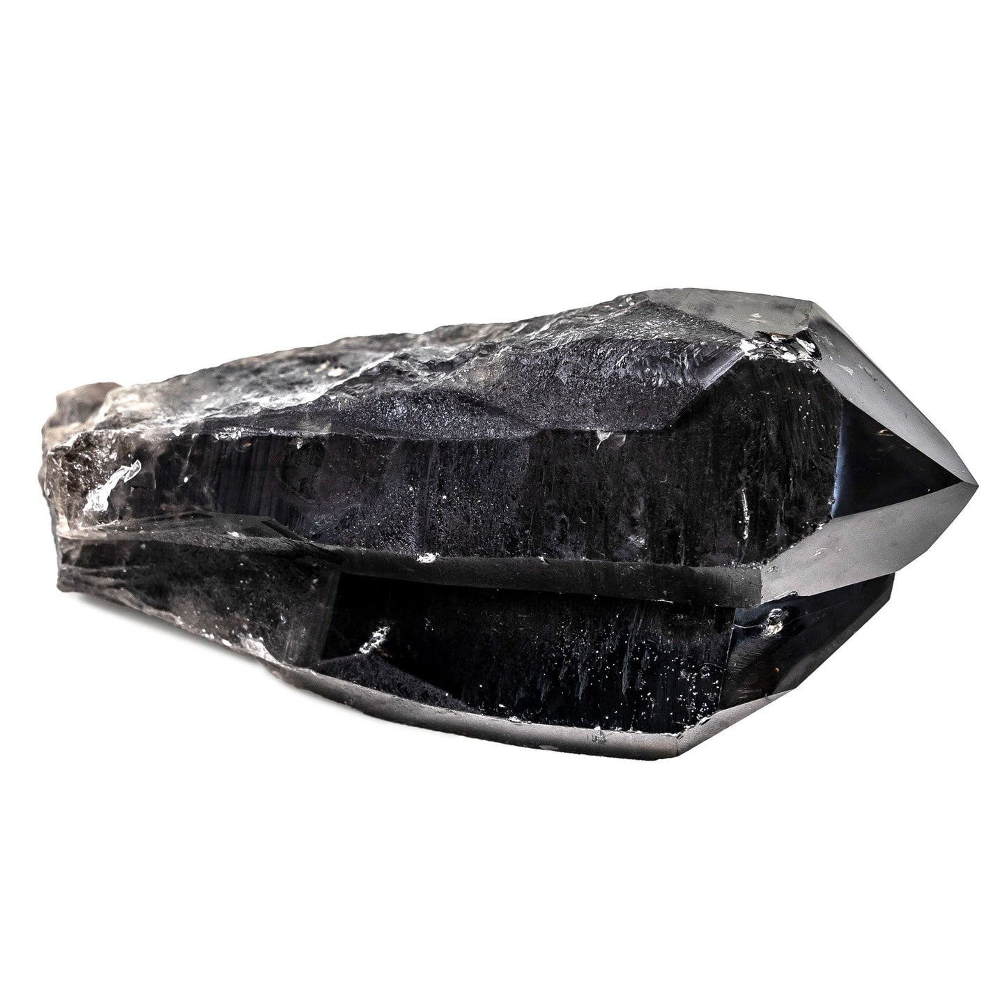 Smokey Lemurian Quartz 2873g Dolphin