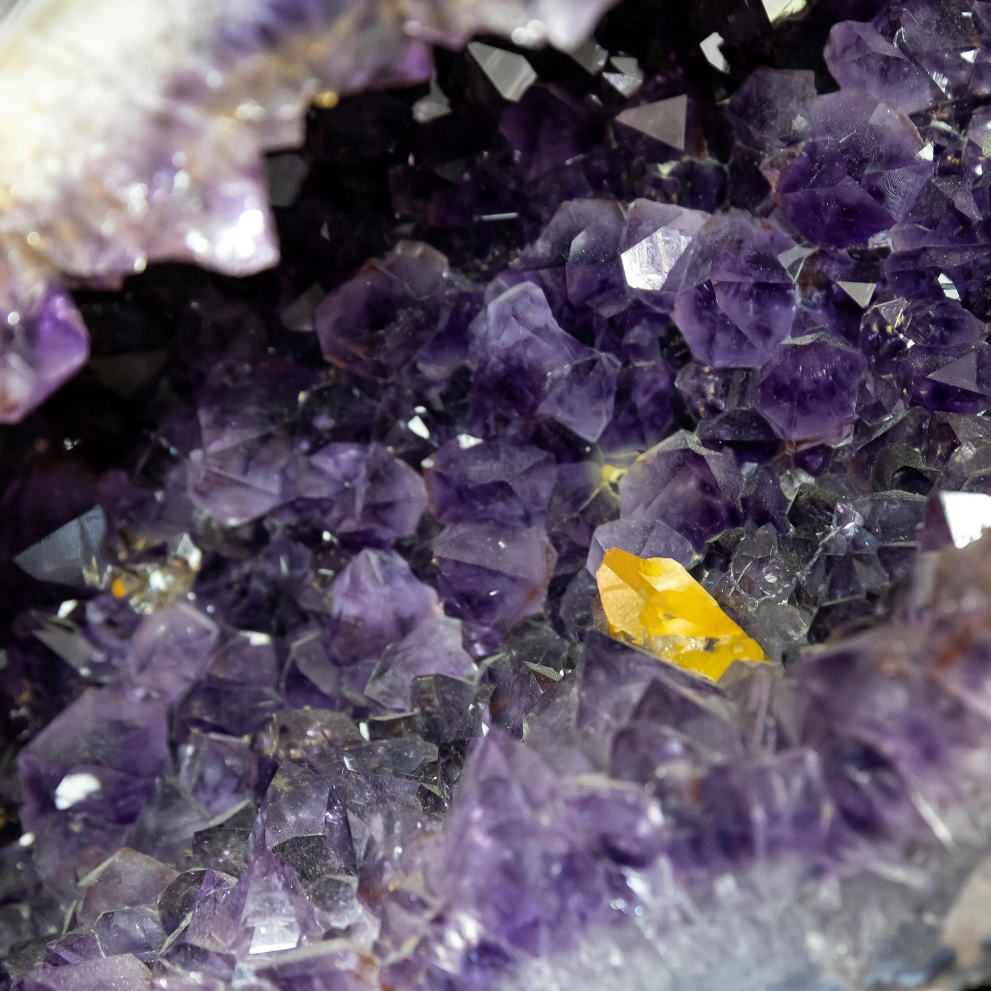 Amethyst Pair Dolphins