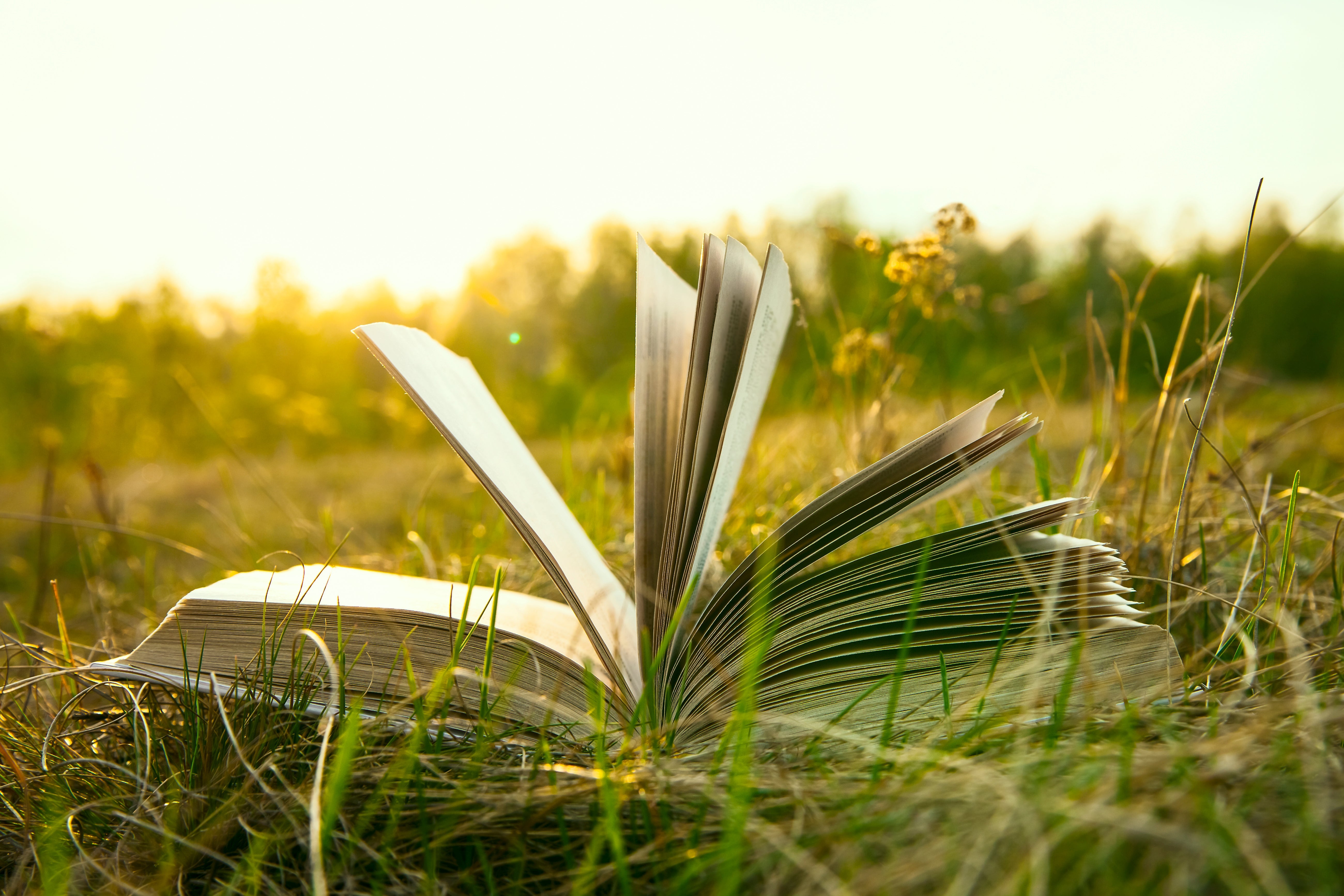 Akashic Records