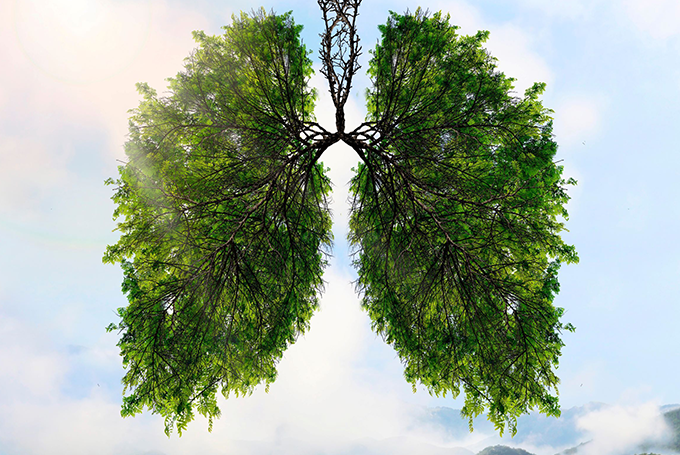 Breathwork