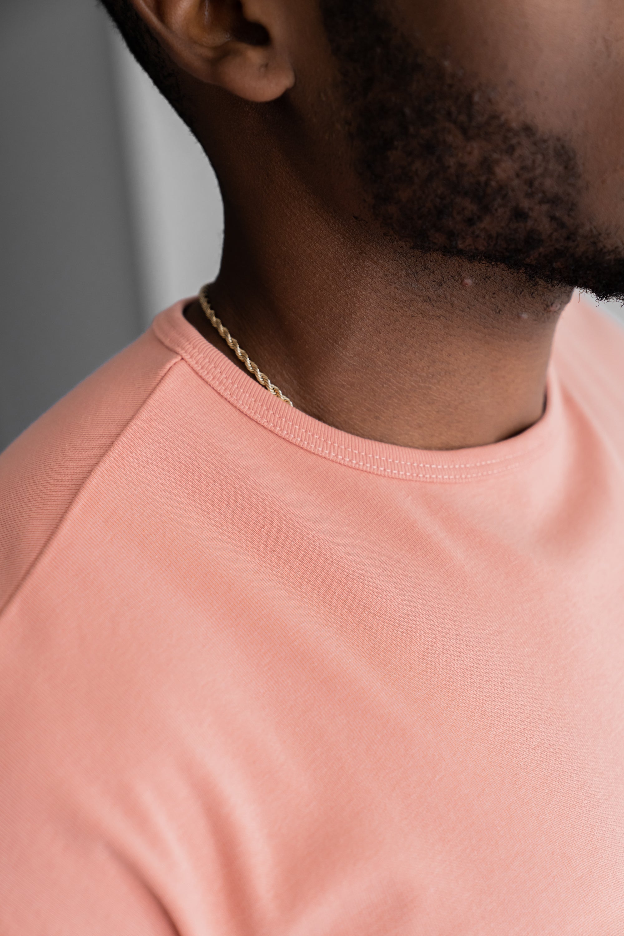 Curve Crew T-Shirt: Stone