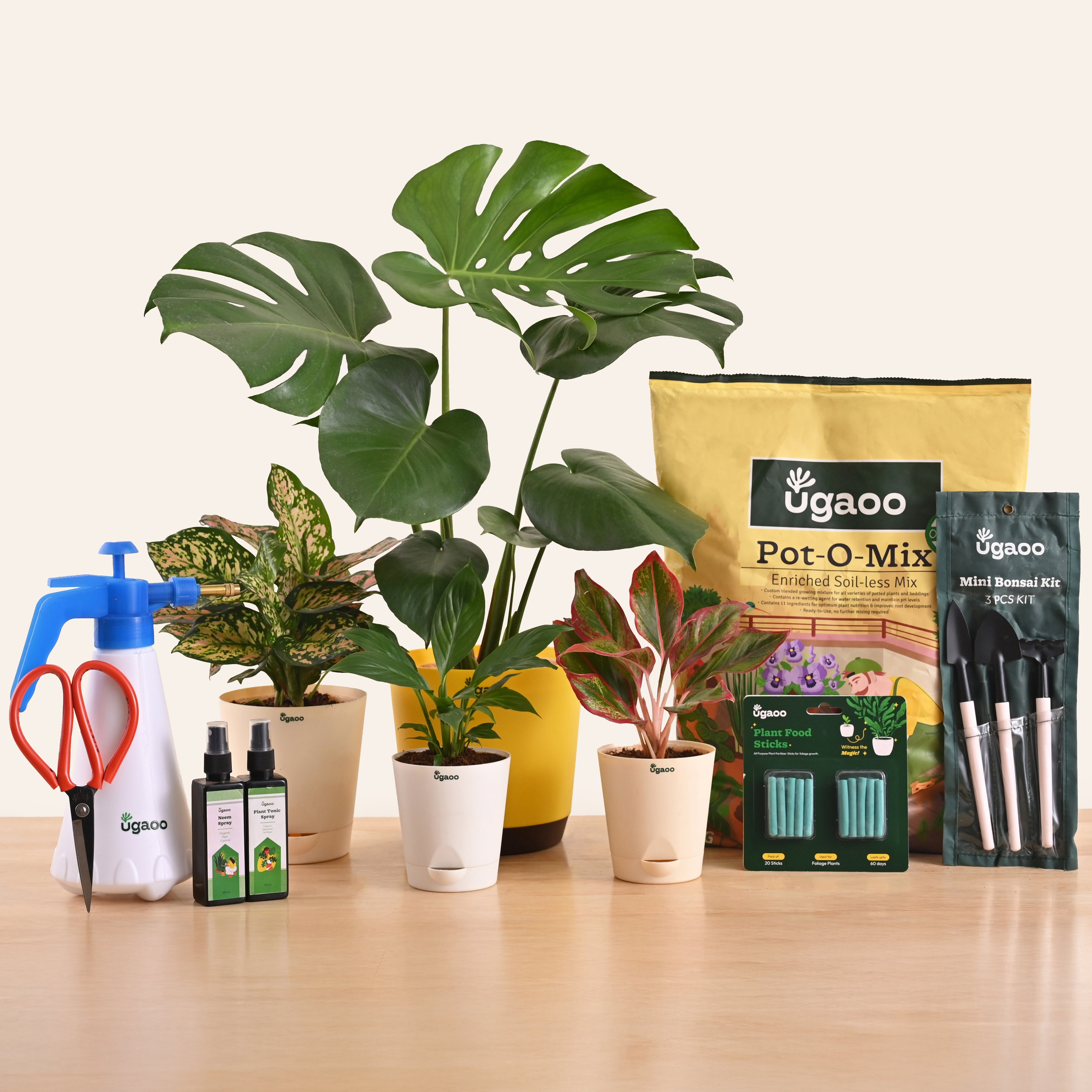 Garden in a Box