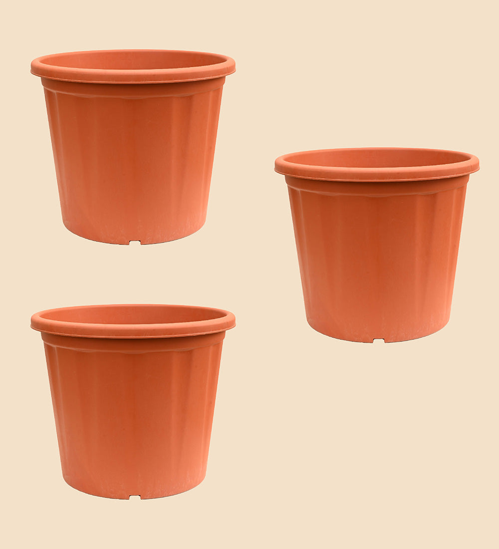 Gardening Pots - Terracotta Color