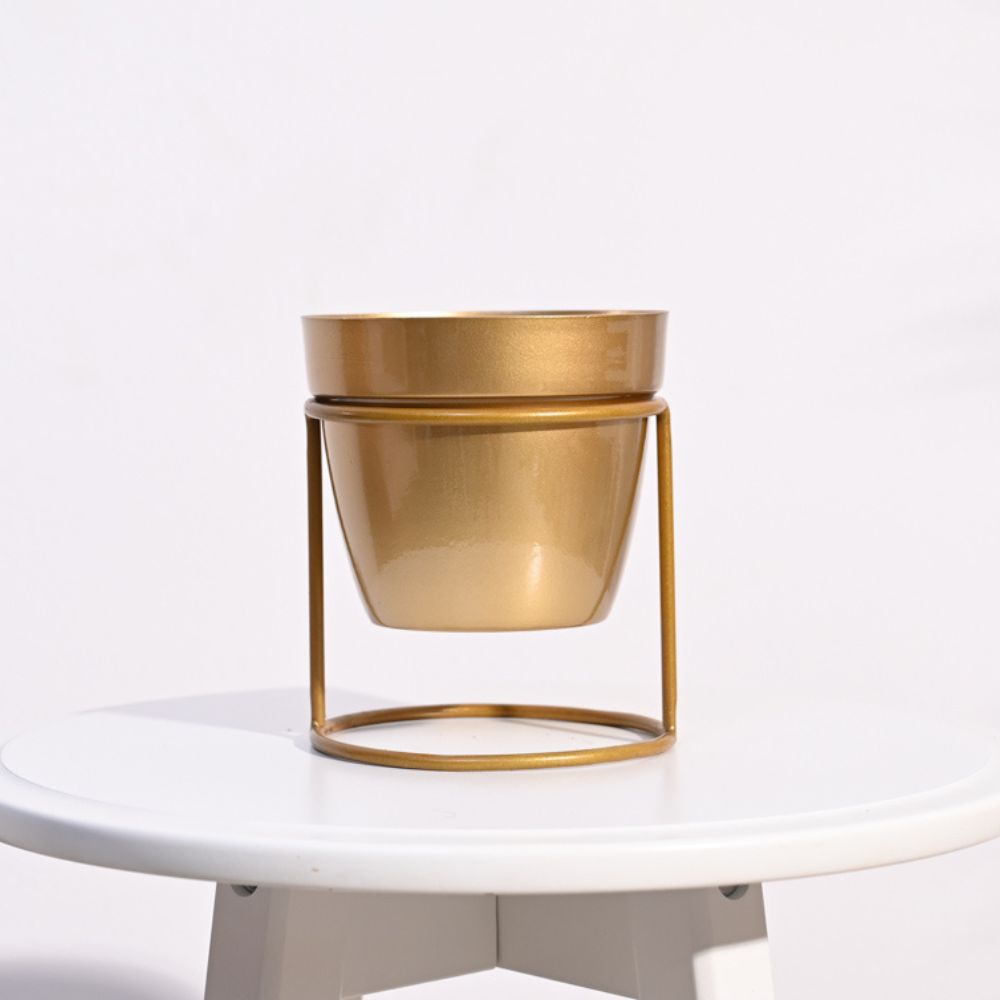 Ganpati Decor Festive Bundle