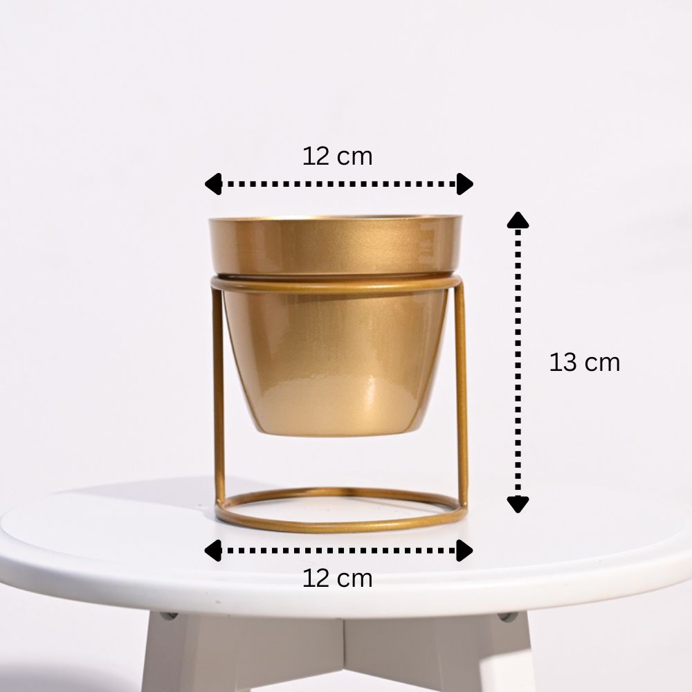 Ganpati Decor Festive Bundle