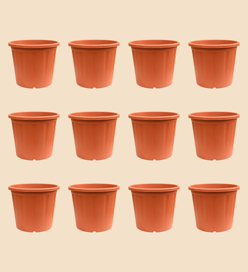 Gardening Pots - Terracotta Color