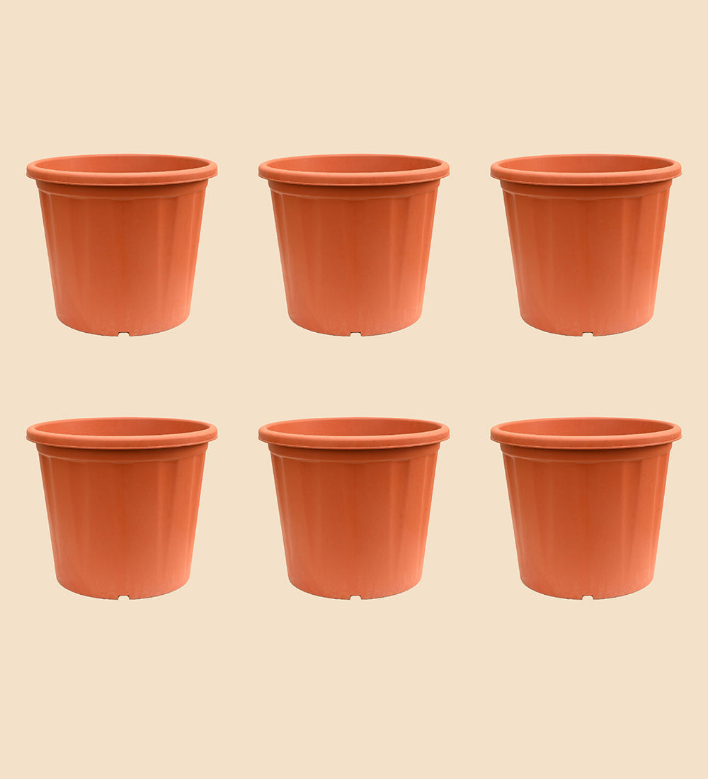 Gardening Pots - Terracotta Color