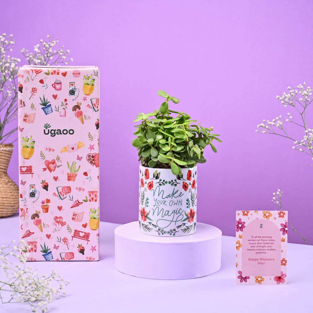 Jade Mini in Ceramic Pot Women's Day Gift