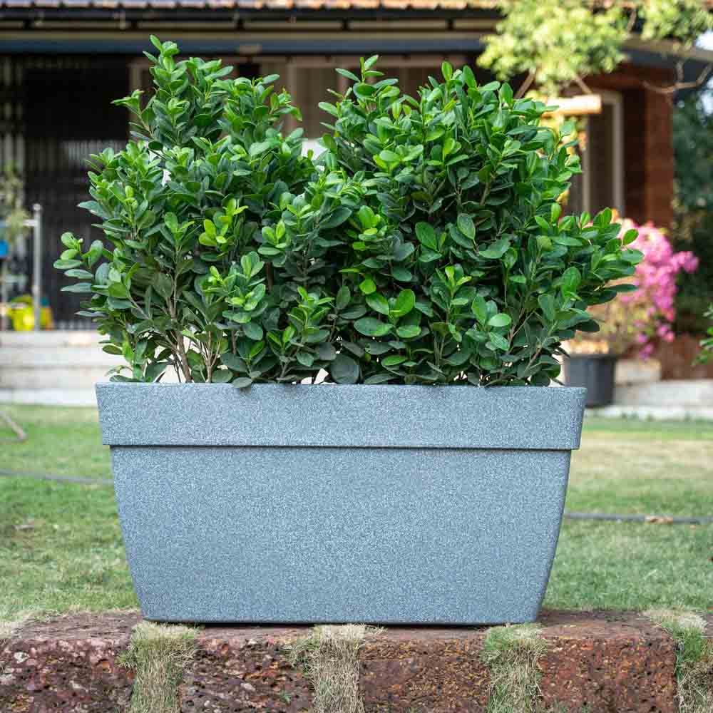 Barca Rectangle Planter