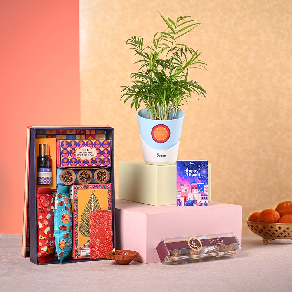 Bamboo Palm Plant & Phool Diwali Gift Hamper