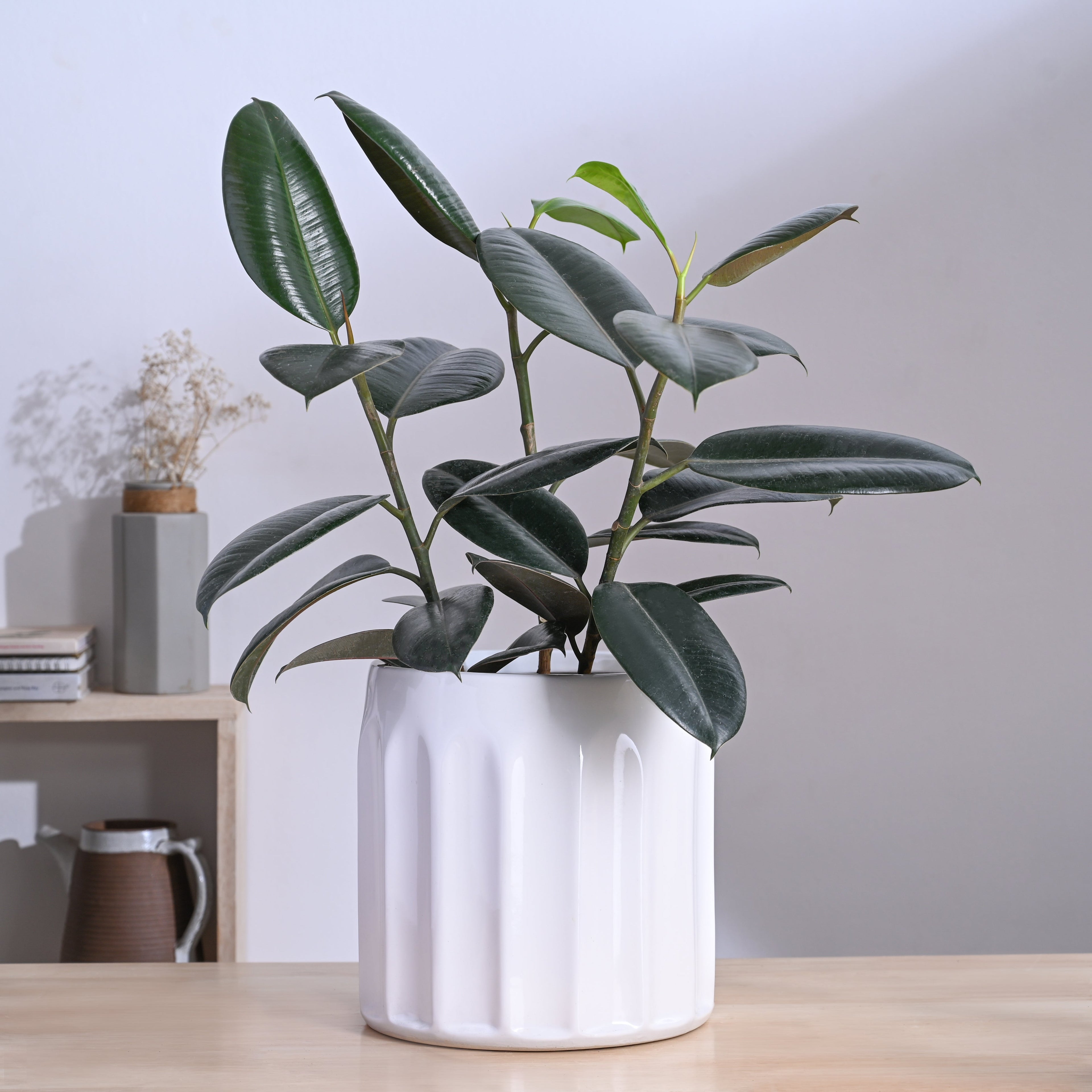 Blushing Sun Ceramic Planter