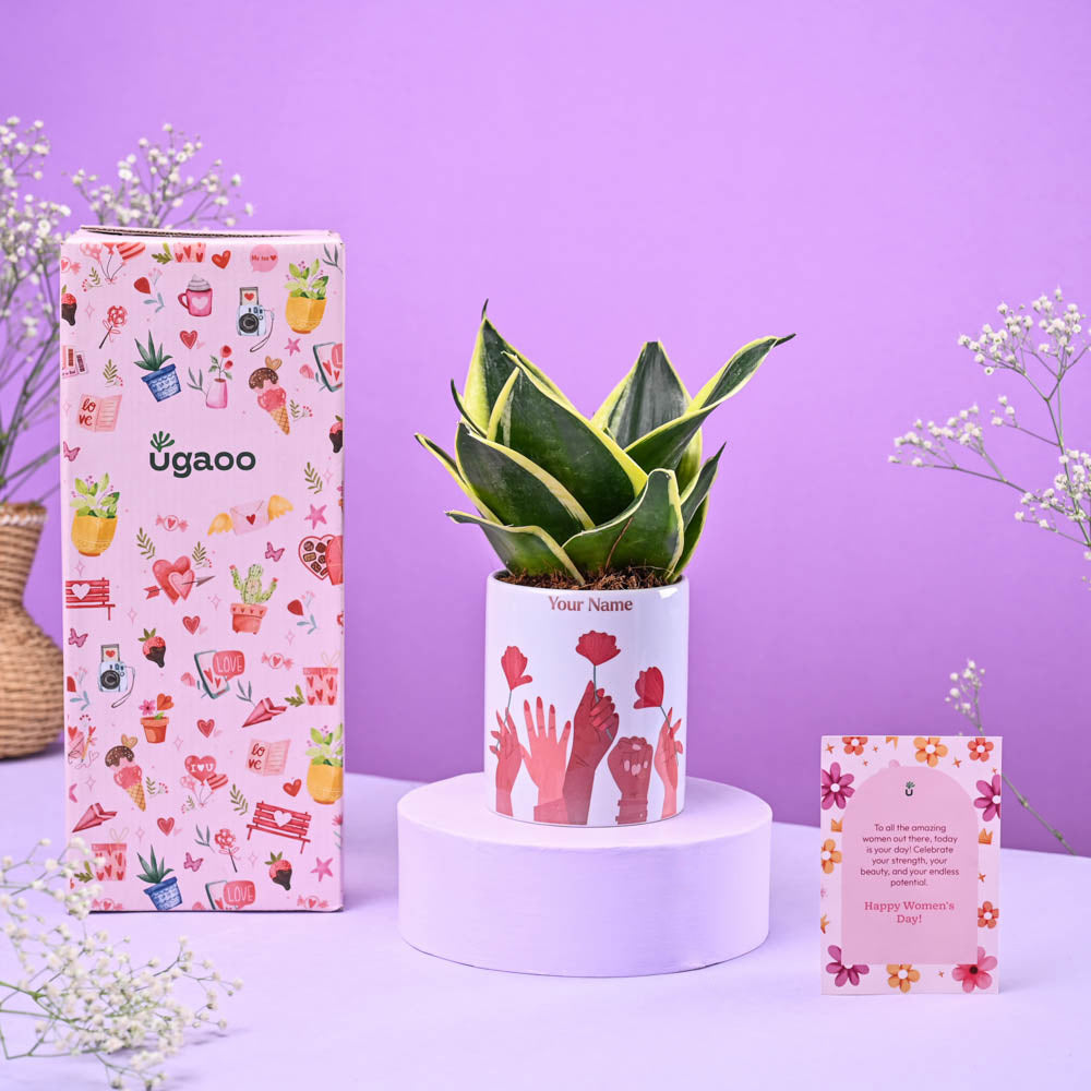 Snake Golden Hahnii in Ceramic Pot Women's Day Gift