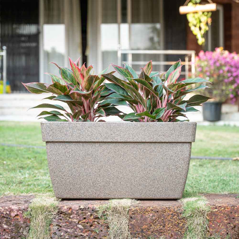 Barca Rectangle Planter