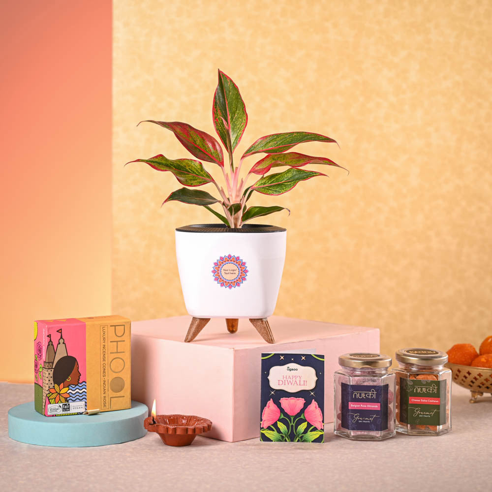 Aglaonema Red Plant & Phool Diwali Gift Hamper