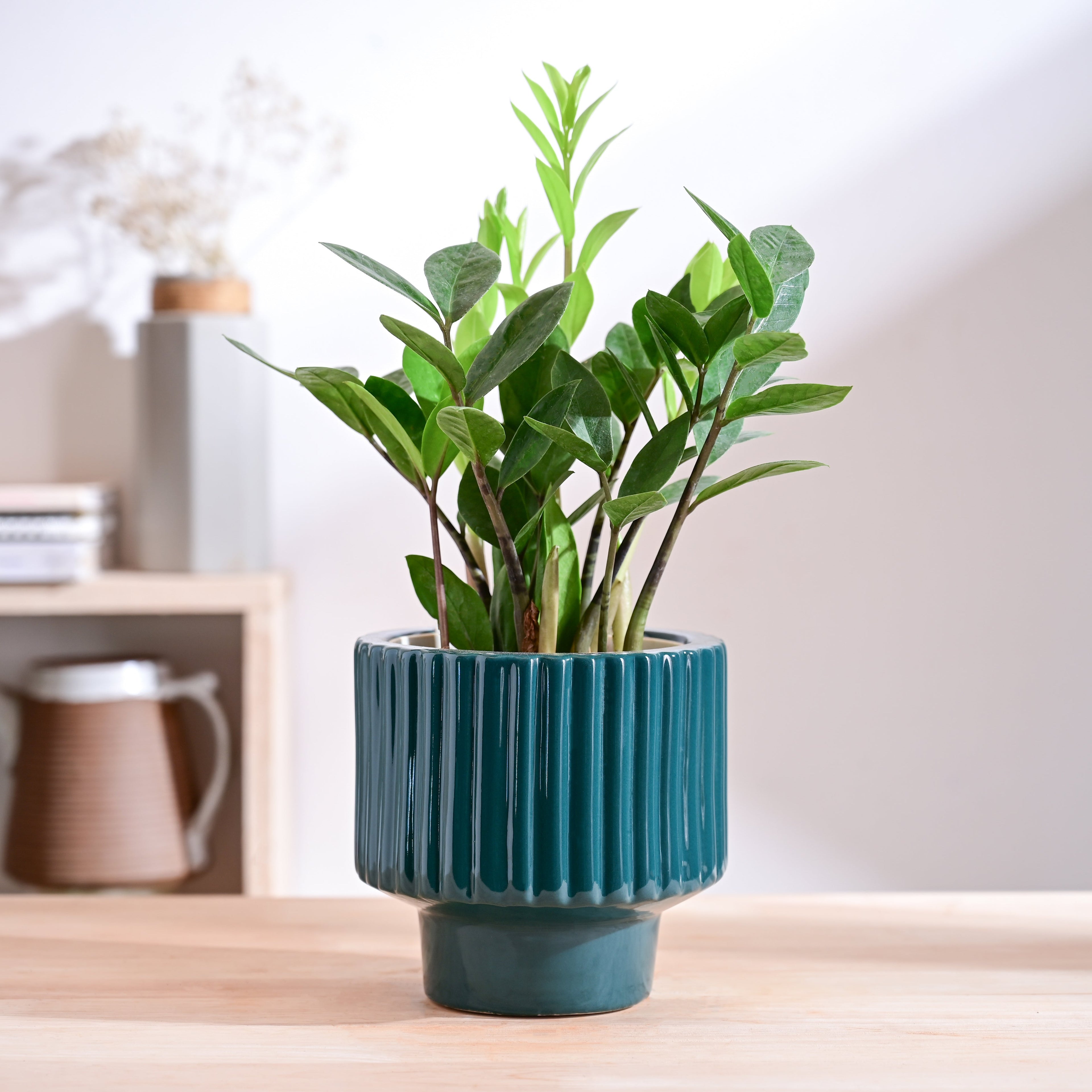 Forms of Love Ceramic Planter