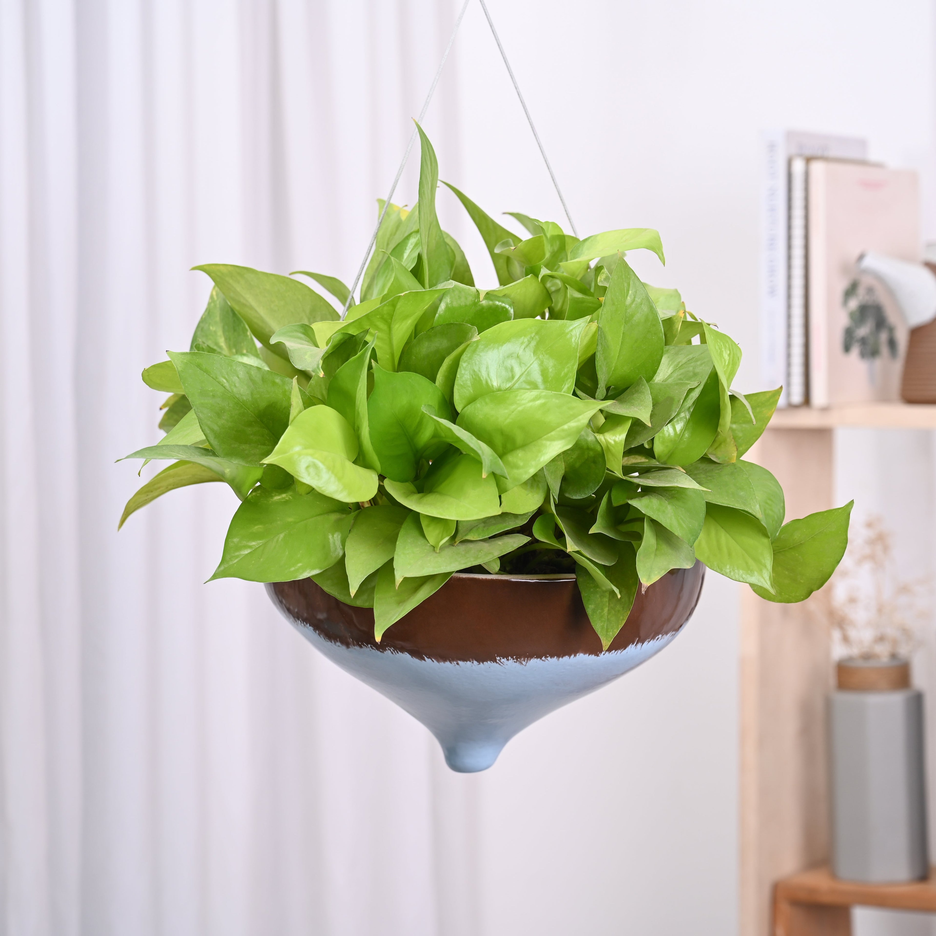 Ceramic Hanging Pot Cosmic Stone