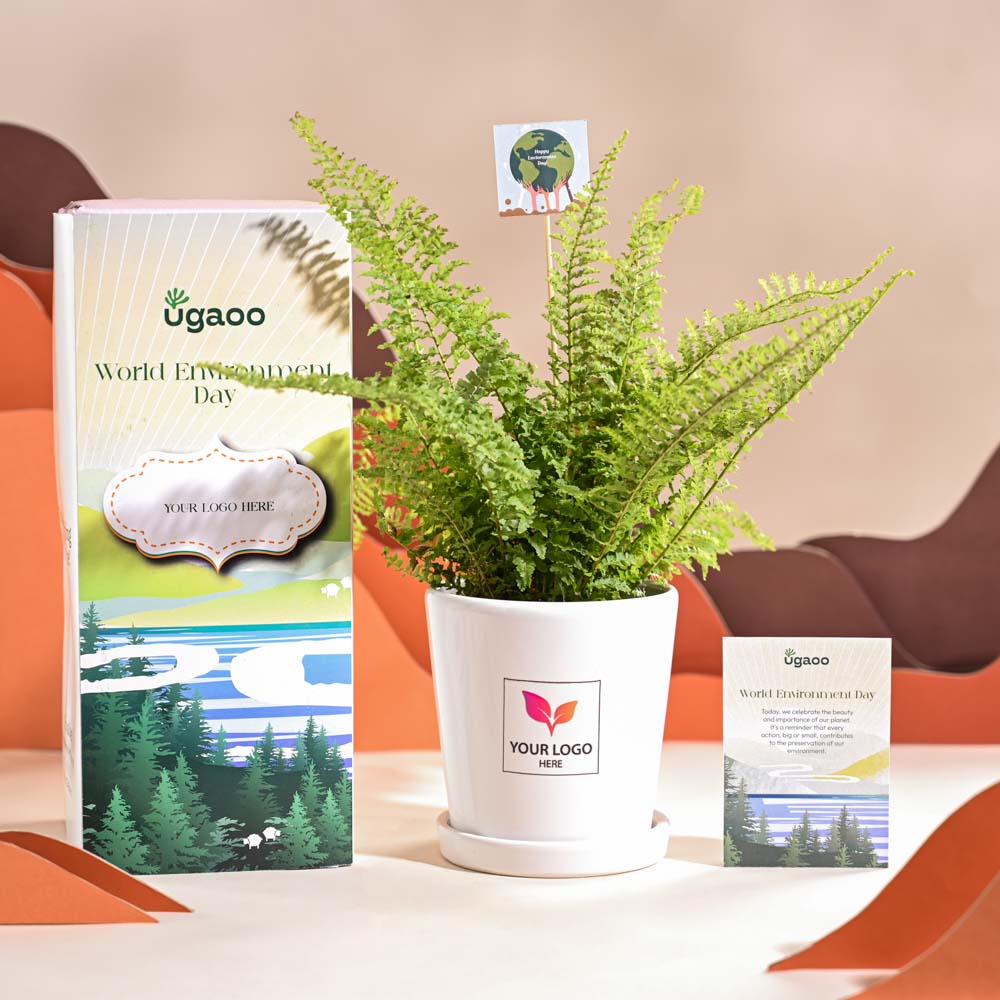 Fern Morpankhi For Environment Day Gifting